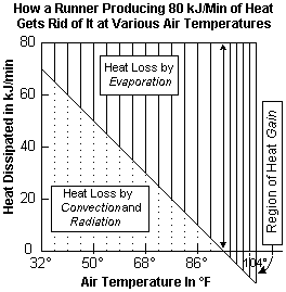 Radiation vs. Sweat losses of 80 kJ per min of heat.gif (4213 bytes)